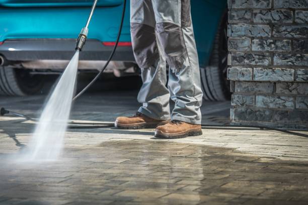 Best Factory Floor Cleaning  in Black Rock, NM